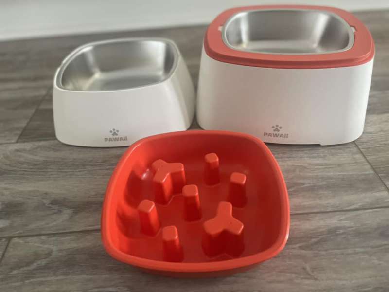 Dog bowl outlet cost