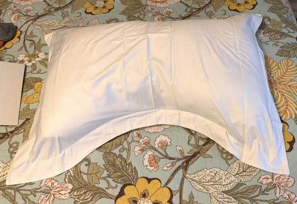 Eli & Elm Side Sleeper Pillow review - a luxurious pillow that does the  job! - The Gadgeteer