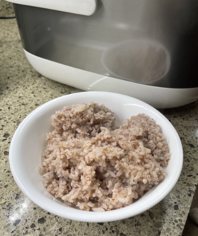 Toshiba TRSH01 Electric Rice Cooker review - Consistently scrumptious  grains of gastronomic delight! - The Gadgeteer