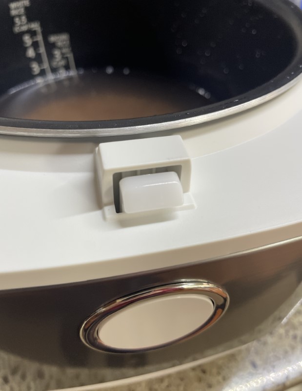 Review of the Toshiba 6-Cup Electric Rice Cooker - Delishably