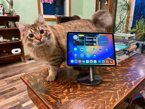 benks foldable ipad stand 3