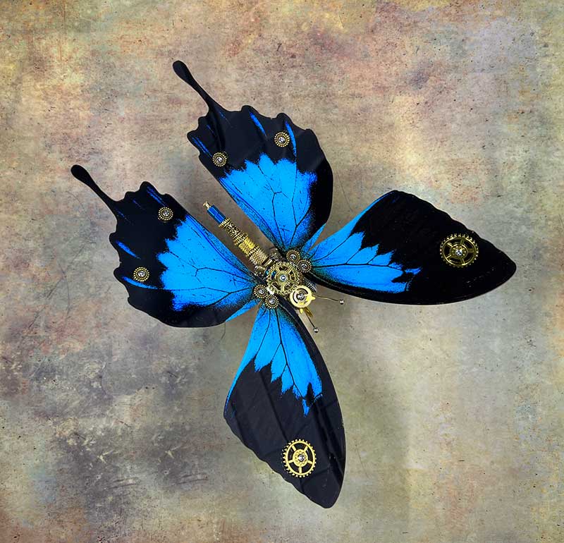 moyustore butterfly 16