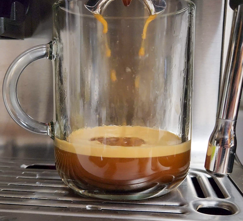 Review of the Casabrews Espresso Machine With Grinder - Delishably