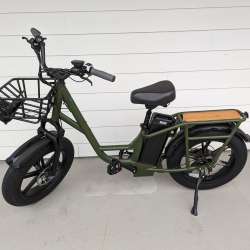 Fiido T1 Pro Utility Electric Bike review – Get your (electric) motor running!