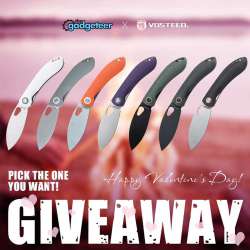 vosteed contest