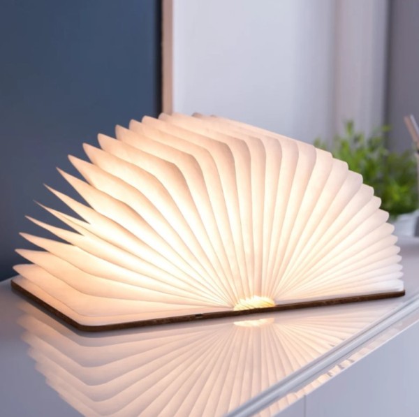 gingko smart book light 02