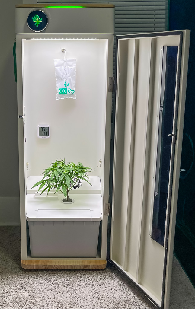 Hey abby OG Automated Grow Box System