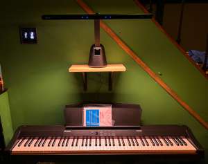 Quntis Piano Lamp 1