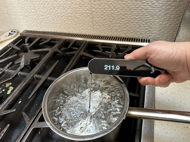 Typhur InstaProbe kitchen thermometer review - Way faster than the rest? -  The Gadgeteer