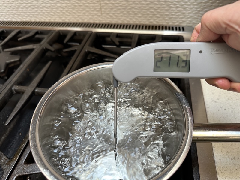 The Typhur InstaProbe Is Our New Favorite Instant-Read Thermometer -  Techlicious