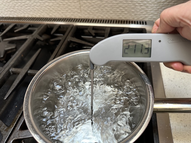 Typhur InstaProbe Review: Lookout Thermapen