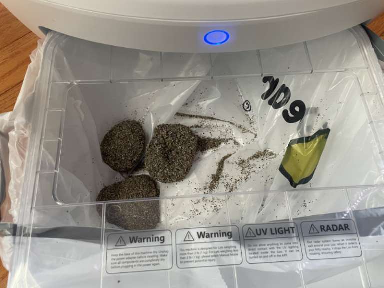 Casa Leo Leo's Loo Too automatic cat litter box review Dandy at dealing with the duty of doody