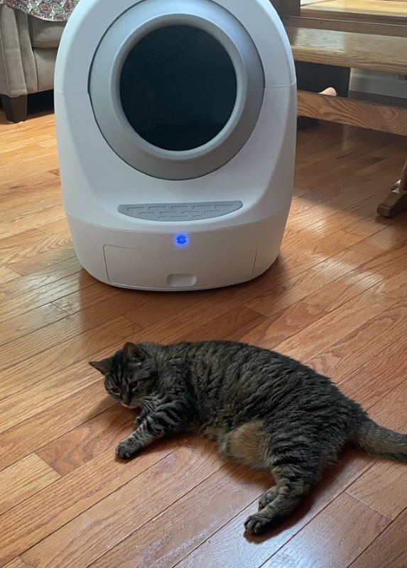 Smarty Pear Leos Loo Too Automatic Litter Box 45