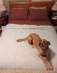 luxear blanket 4