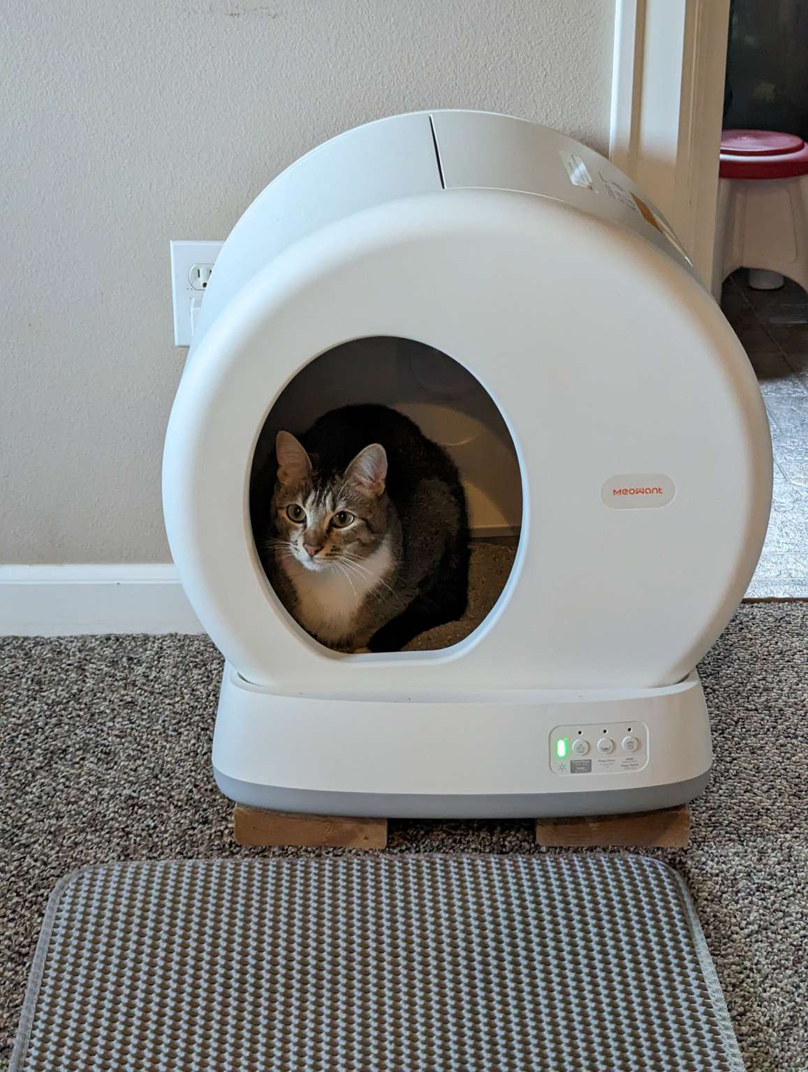 MeoWant Self Cleaning Cat Litter Box review works great if your cat likes it The Gadgeteer