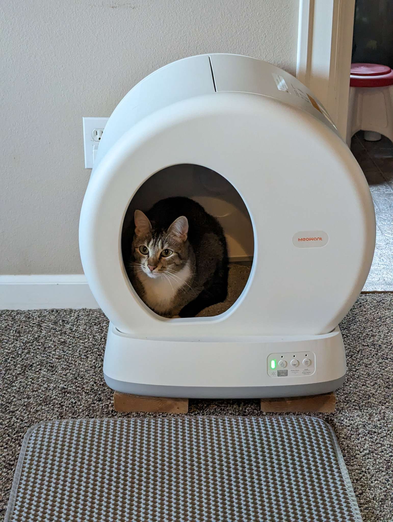 MeoWant Self Cleaning Cat Litter Box review works great if your cat