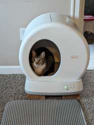 MeoWant Litter Box 01