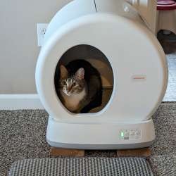 MeoWant Self Cleaning Cat Litter Box review – works great if your cat likes it