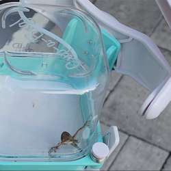 Cup-a-Bug bug catcher review – a cool critter-capturing contraption