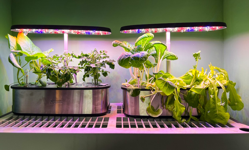 LetPot LPH-SE Hydroponics Growing System review - Grow food without a green  thumb! - The Gadgeteer