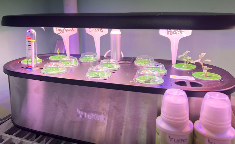 LetPot Hydroponics 29