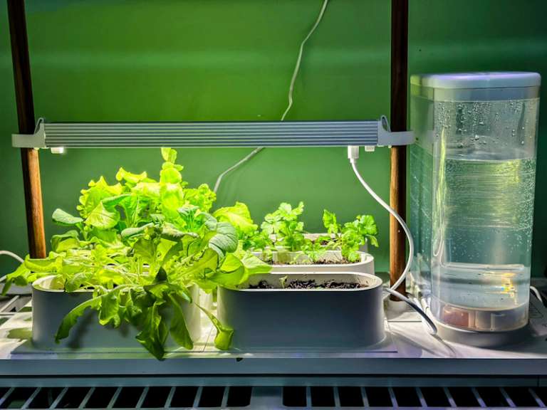 Auk indoor gardening system review The Gadgeteer