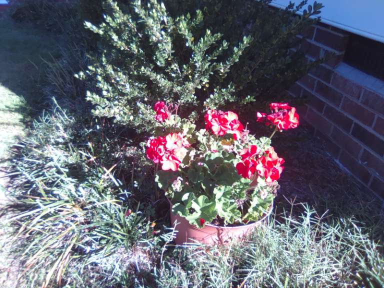 Blackview Tab 70 Android tablet review - Great price via compromise ...