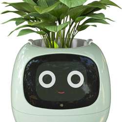 Can this cute little smart flowerpot turn your black thumb to green?