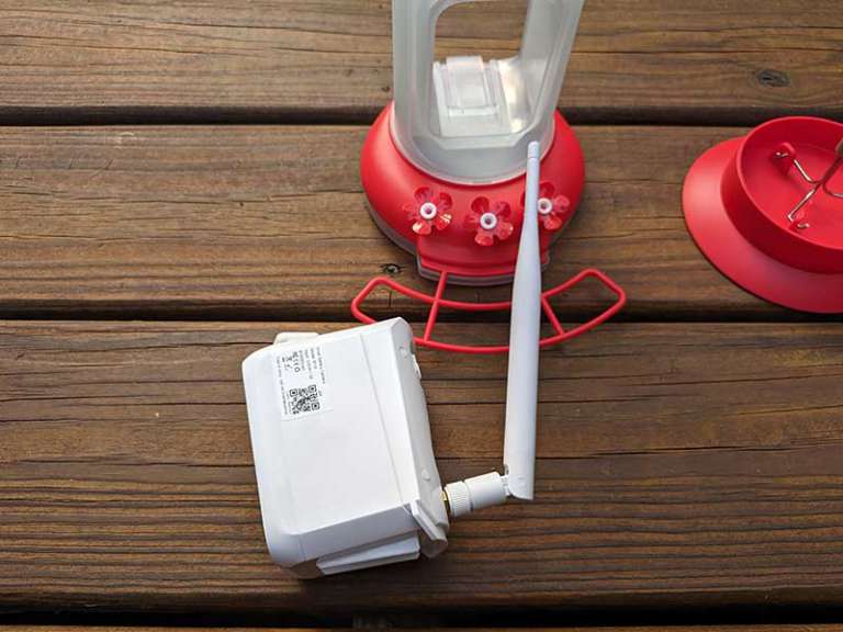 Soliom Hummingbird feeder camera review Keep an eye on the