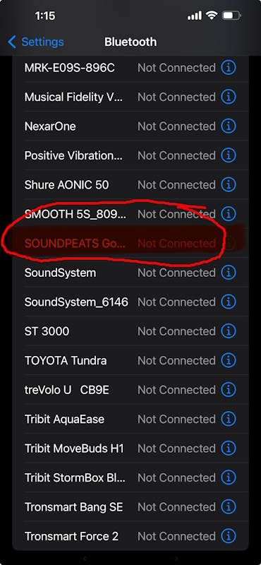 SoundPeats Earbuds 19