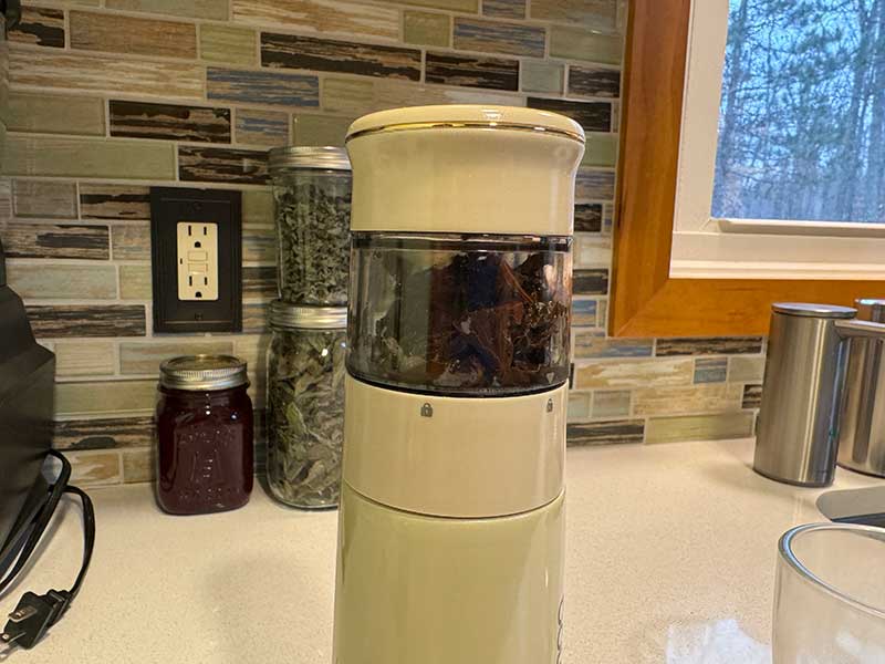 BOTA Tea Bottle review - All-in-one tea-brewing bottle - The Gadgeteer