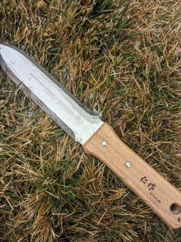 Back view of Hori Hori garden knife laying on grass