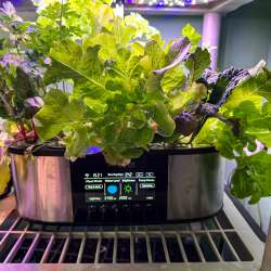 LetPot LPH-Max 21 Pods Hydroponics Growing System review