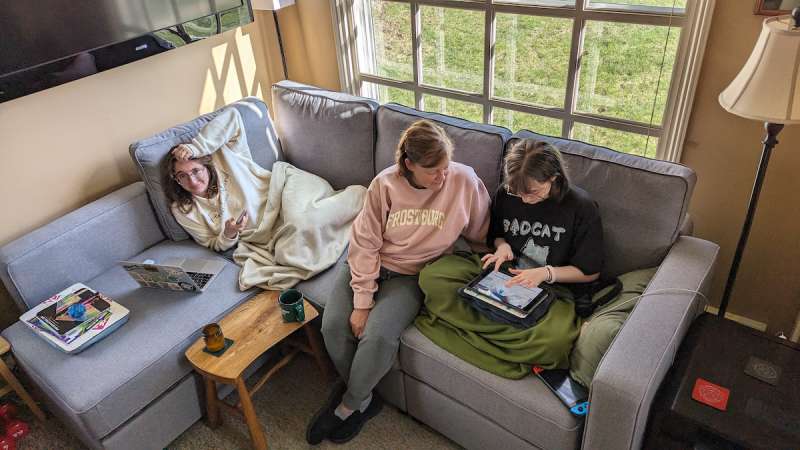 Flexispot Sofa 8