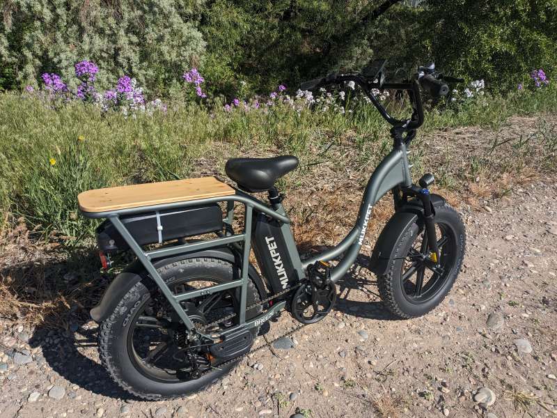 Mukkpet Breeze Cargo eBike 2