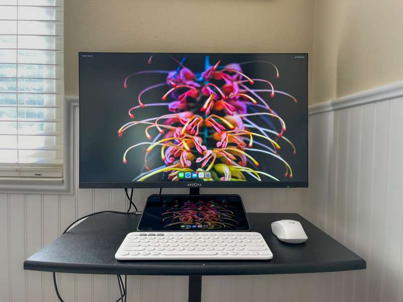 ARZOPA M1RC 1