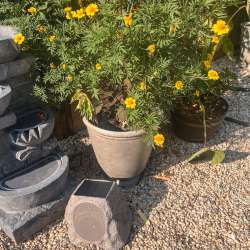 Victrola solar powered outdoor rock speaker Connect review