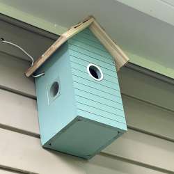 HZVEN BH01 Birdhouse with Camera review – start your own nature channel