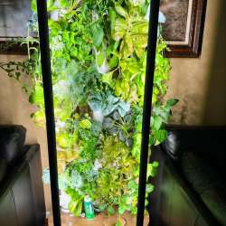 Gardyn Home Kit 4.0 review – Indoor gardening made smart, easy and beautiful