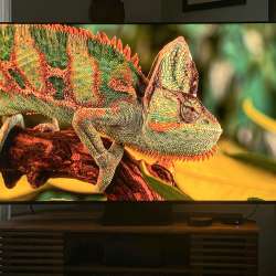 TCL 65QM851G 65” QM8 TV review – A lot of features equals a great TV