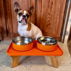 Trot Elevated Complete Pet Bowl Set review – The last bowl set your doggo will ever need