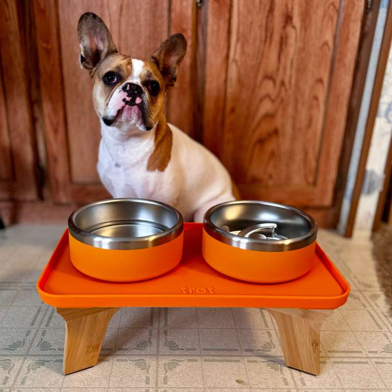 trot elevatedcompletepetbowlset review 1