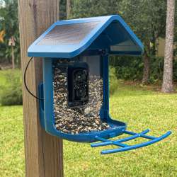 Onlyfly Bird Feeder Cam review – A feeder AND camera for birds—and squirrels