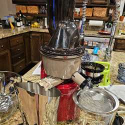 Sana 868 Batch Juicer review
