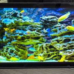 LincPlus T4 Tablet review