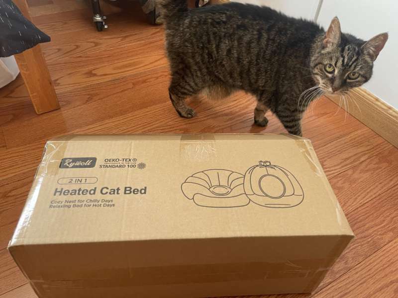 Photo inspiration: Visual Reference: Rywell Heated Cat Bed Review Warm And Cozy Comfort For