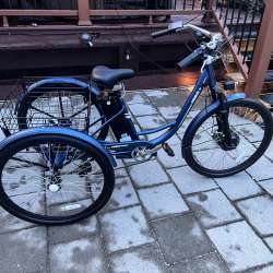 Viribus TriGo Trike review