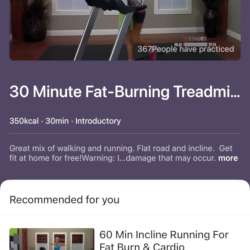 WELLFIT Treadmill 17