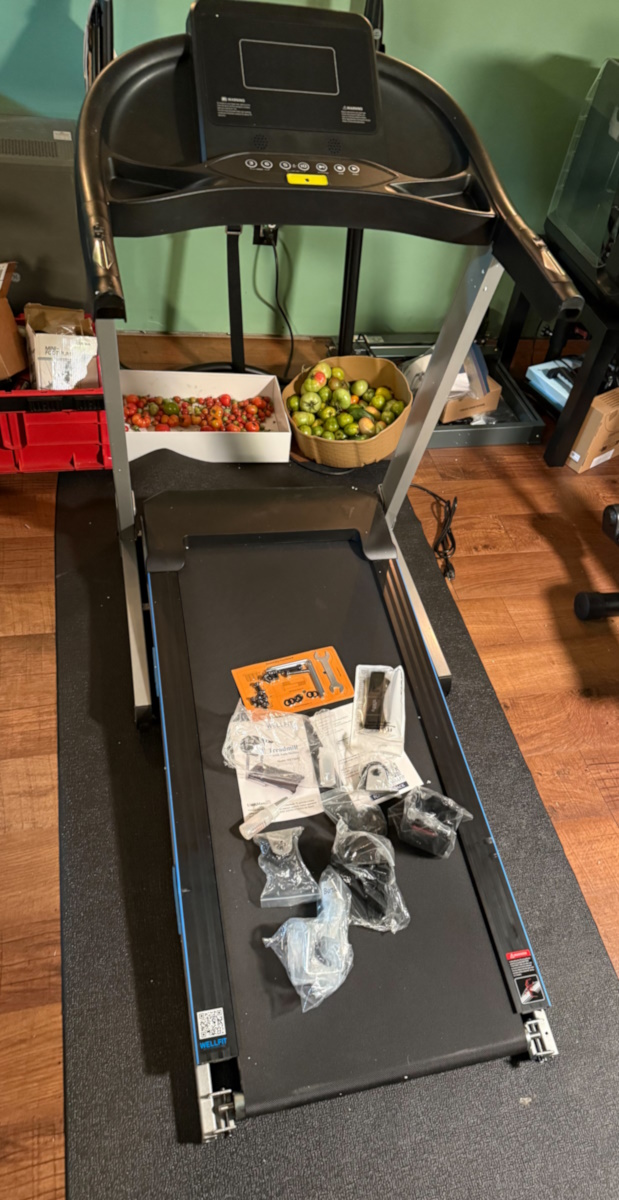 WELLFIT Treadmill 2 1