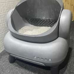 Neakasa M1 Automatic Litter Box review – Capable of keeping your kitty crap clean